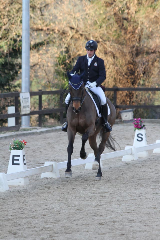 Doble Oro de Antonio Laiz y gran actuaci&oacute;n de los jinetes y amazona navarros en el CP Nacional Doma Cl&aacute;sica 2** del Real Club Polo de Barcelona